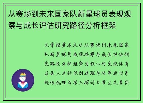 从赛场到未来国家队新星球员表现观察与成长评估研究路径分析框架